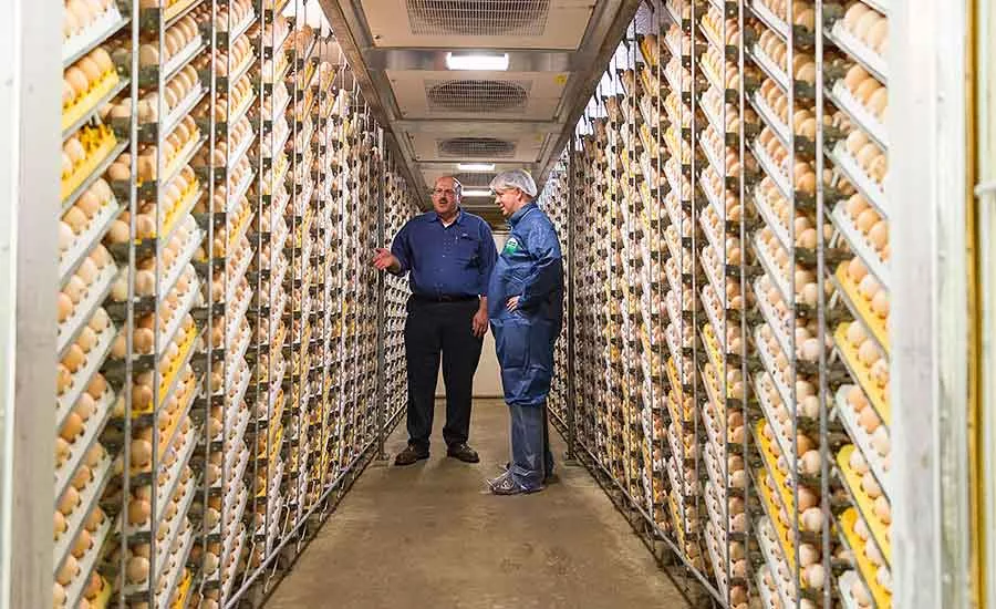 Case Farms' Canton hatchery