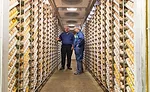 Case Farms' Canton hatchery