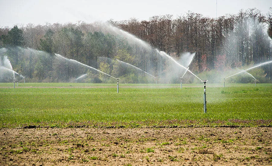 Wastewater from the Sanderson Farms facility is treated, then sprayed onto fields surrounding the plant