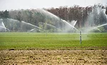 Wastewater from the Sanderson Farms facility is treated, then sprayed onto fields surrounding the plant