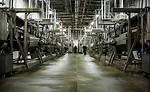 The Sanderson Farms St. Pauls facility features ergonomic advancements to keep its employees healthy and safe