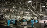 The Sanderson Farms St. Pauls facility features automation for improved efficiency