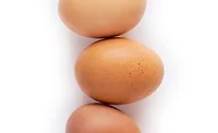 Brown Eggs Eggs with Brown Shells