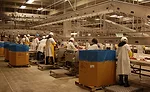 CS Beef Packers' Kuna, Idaho, plant interior
