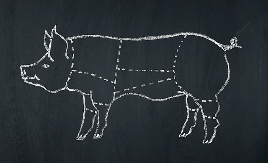 Chalk Drawing of Pig with Separation Lines