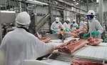 Rantoul Foods Cutting Room Floor