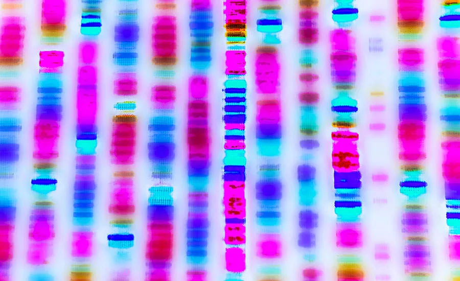 Whole Genome Sequencing
