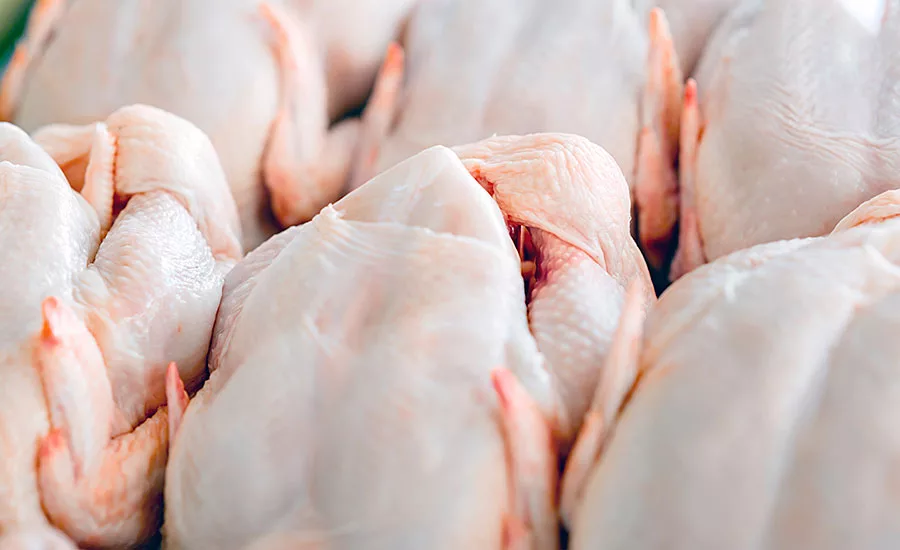 Raw Poultry Carcasses