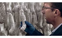 Columbus Craft Meats Columbus Craft Meats Employee Checks Curing Meats