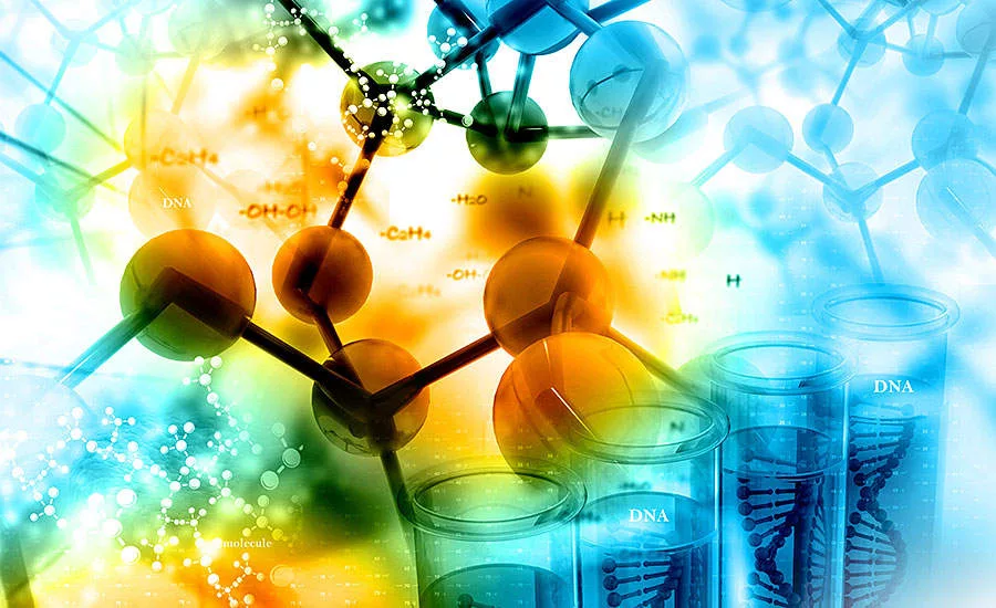 Bioengineered DNA