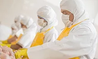 Meat Plant Workers Wearing Food Safety Apparel