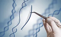 Genetic Marking Genetic Marking