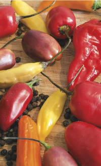 Hot, Spicy Peppers Used in Barbecue