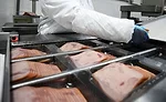 Meat Plant Employee Wearing Food Safety Glove and Sleeve