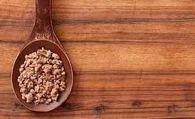 Spoonful of Ground Meat