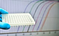 Rapid Testing Equipment