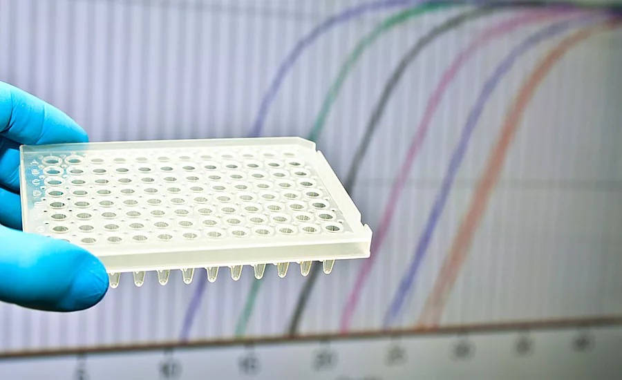 Rapid Testing Equipment