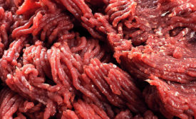 Cultured, Lab-grown Meat