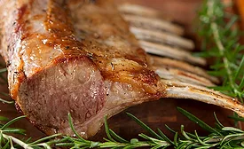 Lamb Chops