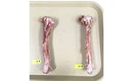 Turkey Leg Bones