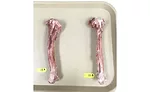 Turkey Leg Bones