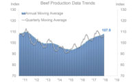 Beef Production Data Trends 2011-2019