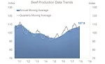 Beef Production Data Trends 2011-2019