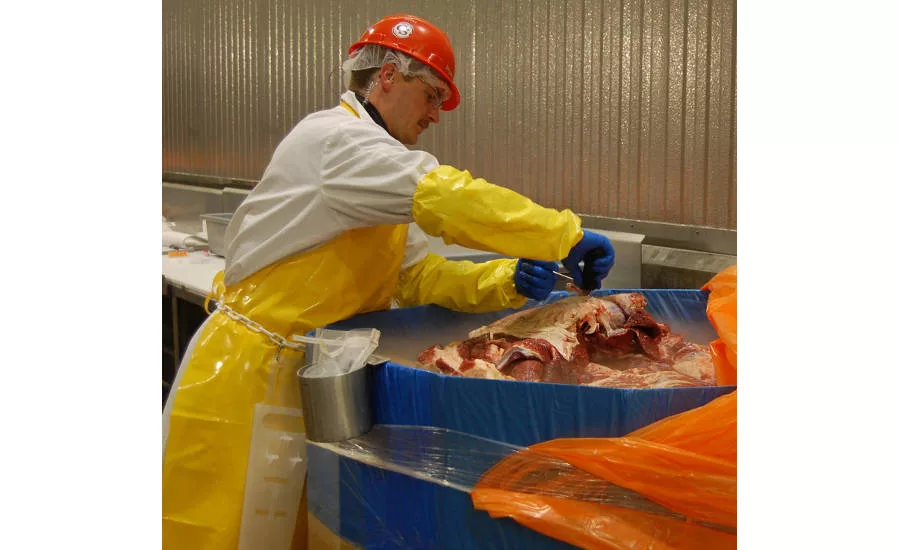 Worker at CS Beef Packers Plant