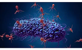 Bacteriophages Fighting Bacteria