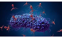 Bacteriophages Fighting Bacteria Bacteriophages Fighting Bacteria
