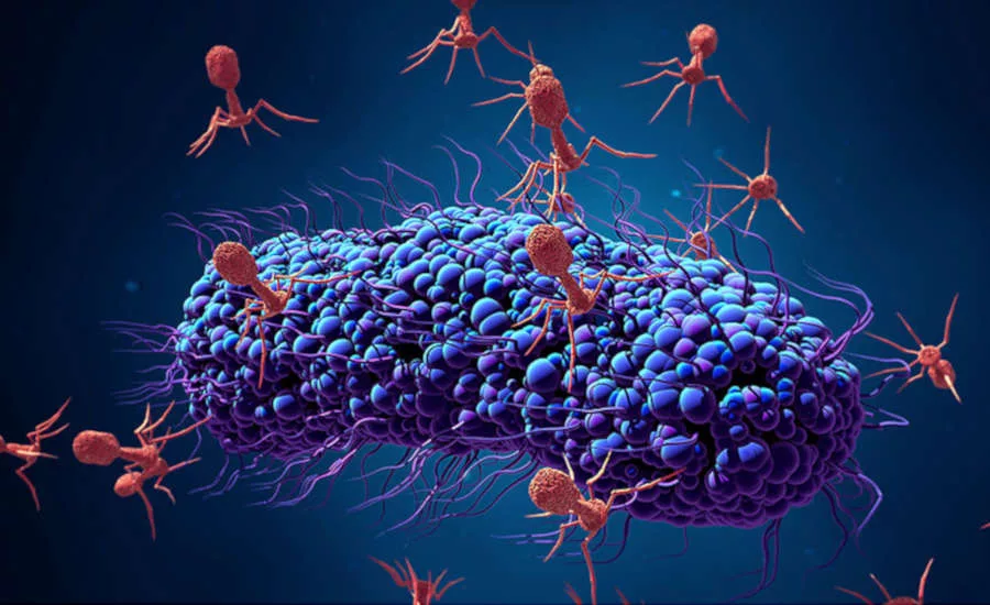 Antimicrobials