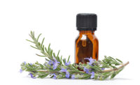 Rosemary Sprig and Essential Oil