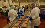 Bell & Evans Chicken Processing Line