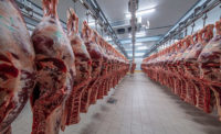 Fresh-cut Carcasses in Meat Plant