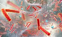 Antibiotics
