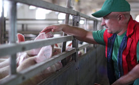 Center for Food Integrity brought consumers to pork producers to