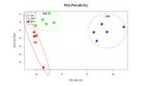 PCA Analysis of Identified Metabolites