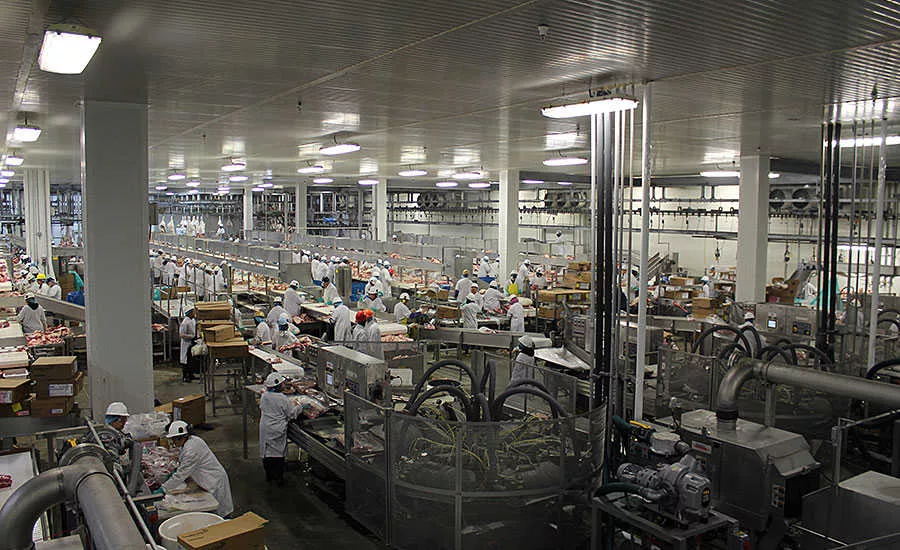 Inside DemKota Ranch Beef Packing Plant