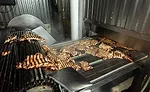 Carl Buddig Grilled Chicken