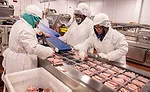 Carl Buddig Employees Pack Sliced Deli Meat