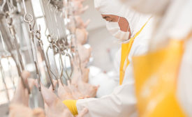 Poultry Processing Workers