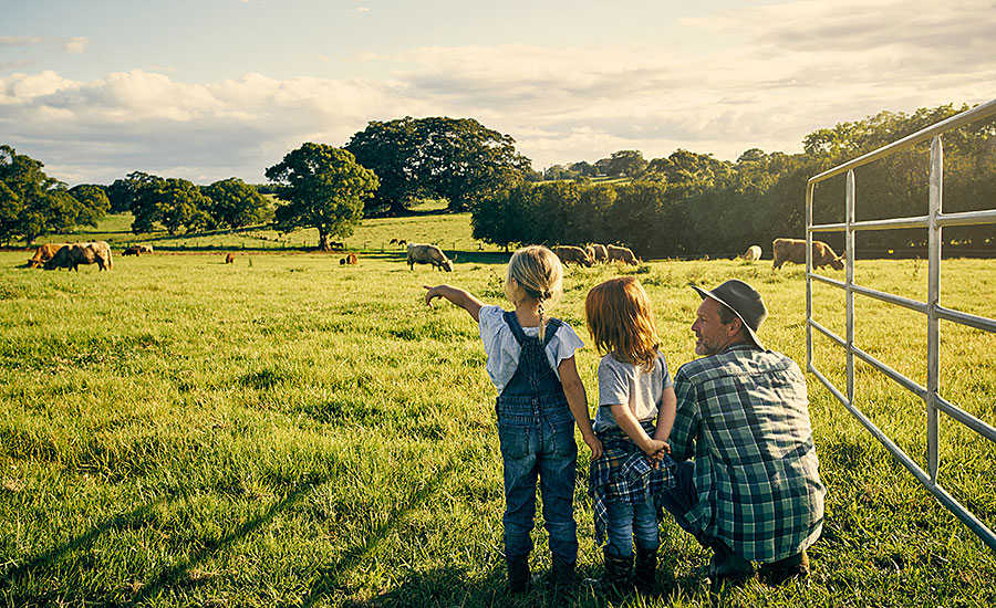 Father and Two Daughters Looking at Field of Cattle