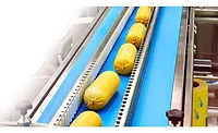 Chubs on Conveyor Belt