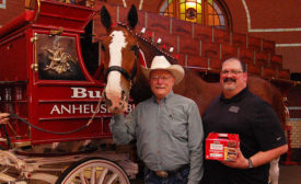 Mel Coleman Jr. and Bart Vittori with a Budweiser Clydesdale