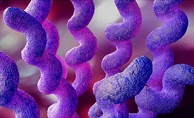 Campylobacter