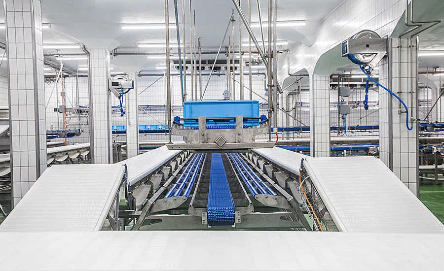 Meat Processing Equipment