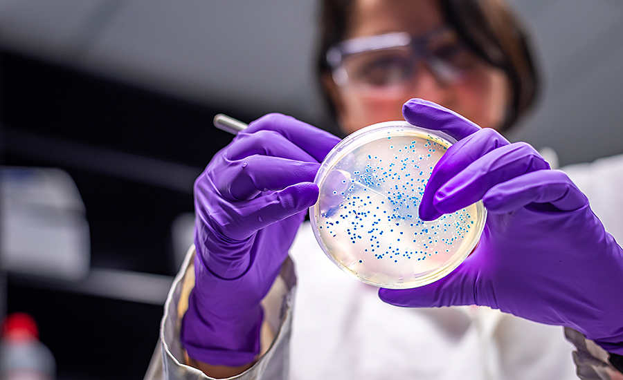 woman with a petri dish