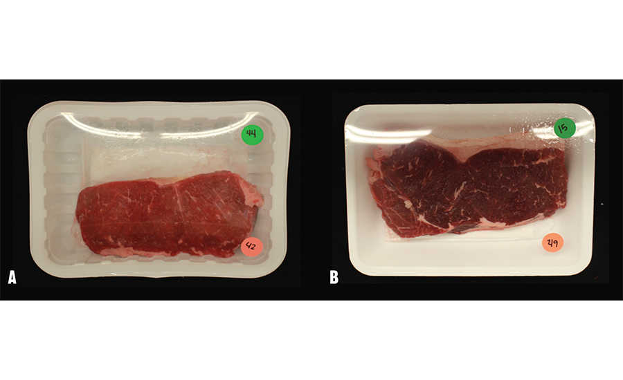 Dark-Cutting Steak Comparison