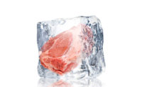 Frozen Meat in Ice Block