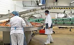 Workers at Hot Dog Processing Line